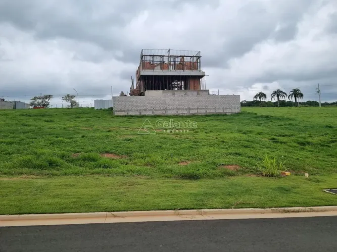 terreno - Parque São Quirino - Campinas