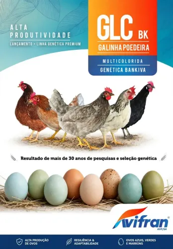 Pintainhas 