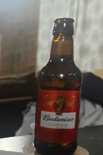 Vendo vasilhame de cerveja 300ml