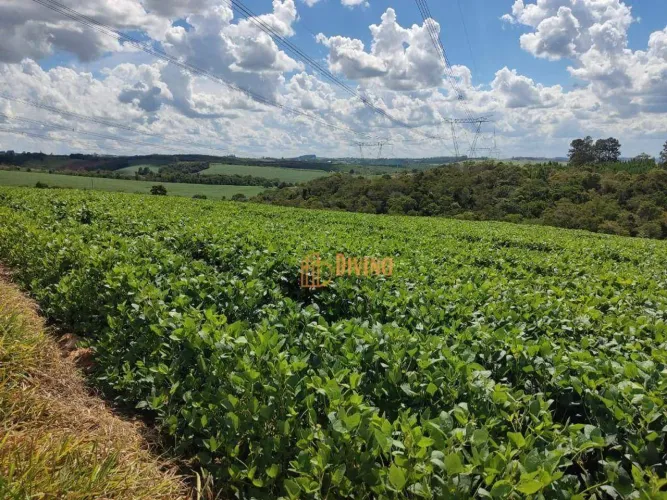 Sítio à venda, 30 Alqueires por R$ 6.000.000 - São Miguel Arcanjo/SP