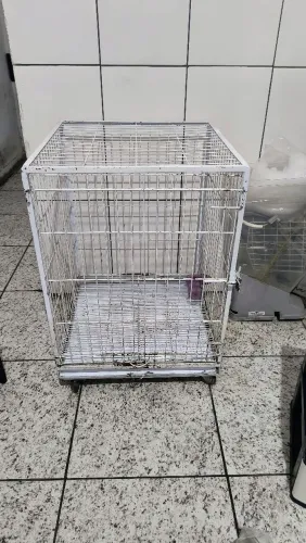 Canil para petshop