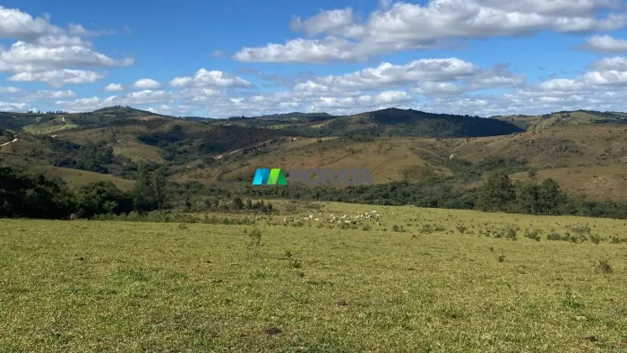 FAZENDA À VENDA - 157 HECTARES - RESENDE COSTA (MG)