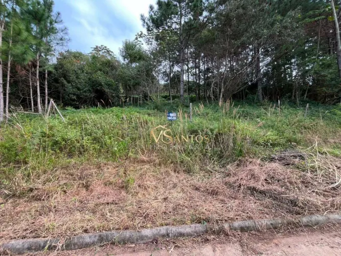 Terreno à venda, 720 m² por R$ 1.500.000,00 - Lagoa da Conceição - Florianópolis/SC