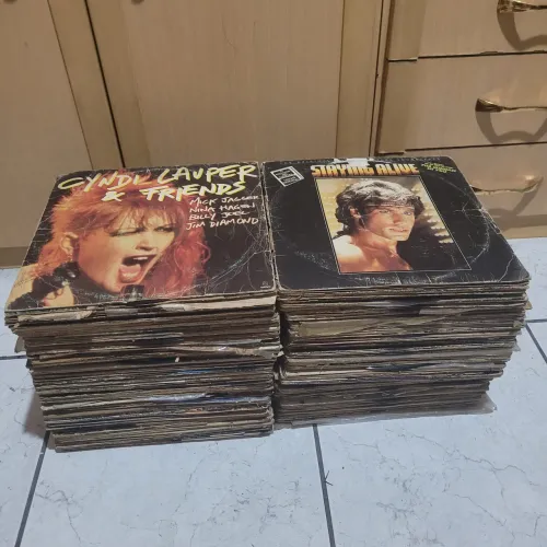 Lote de Discos de Vinil para Artesanato