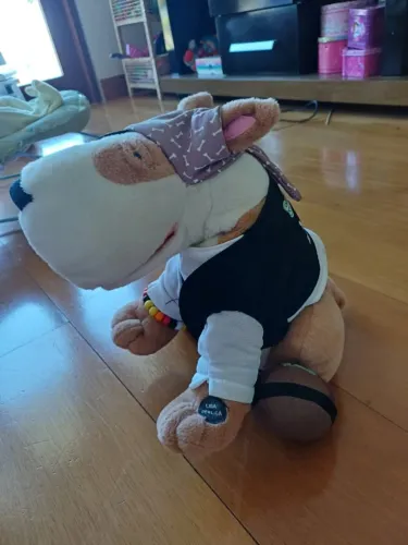 Brinquedo Cão Spock Pirata