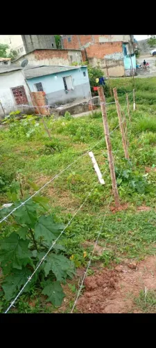 Vendo terreno no alto da jaqueira