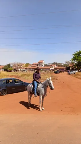 Mangalarga