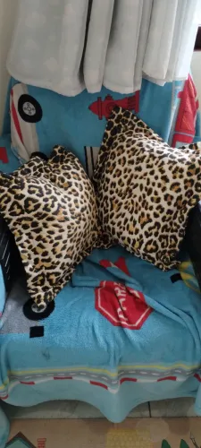 Duas almofadas de oncinha
