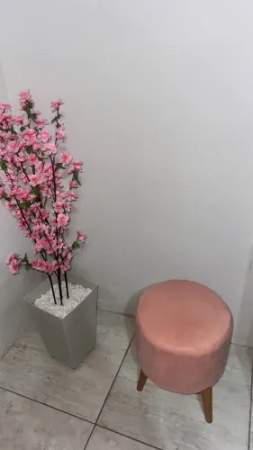 Puff e planta de decoração 