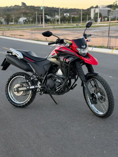 Vendo Lander 2024