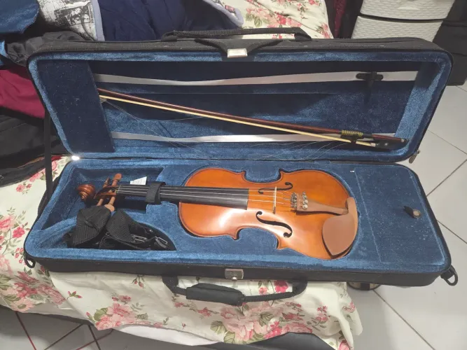 Violino Eagle VE 441 Clássico 4/4 (Completo com Estojo Luxo)