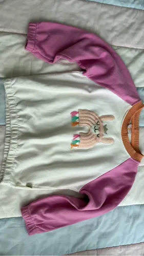 Blusa moleton 