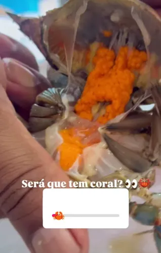 Vendo siri de coral