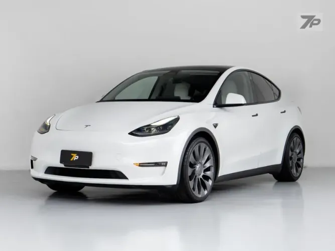 Tesla Model Y Performance 2021