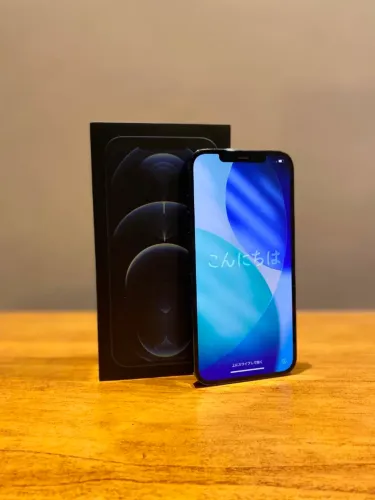 IPHONE 12 PRO MAX