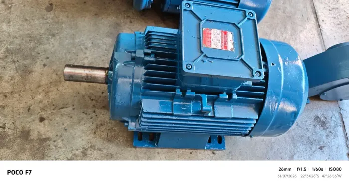 Motor elétrico 25 cv 