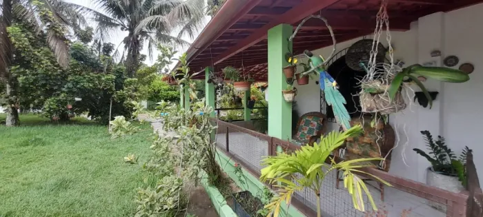 Sítio em local tranquilo e seguro com árvores frutíferas