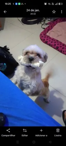Procuro um namorado
