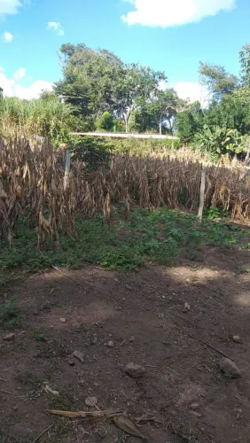 Chácara com ótima terra para plantar! Ou construir obs: tem água e energia na porta