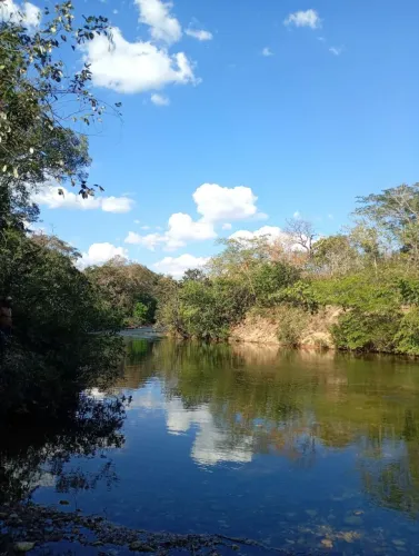 ? Oportunidade Única: Excelente Chácara de 5 Hectares