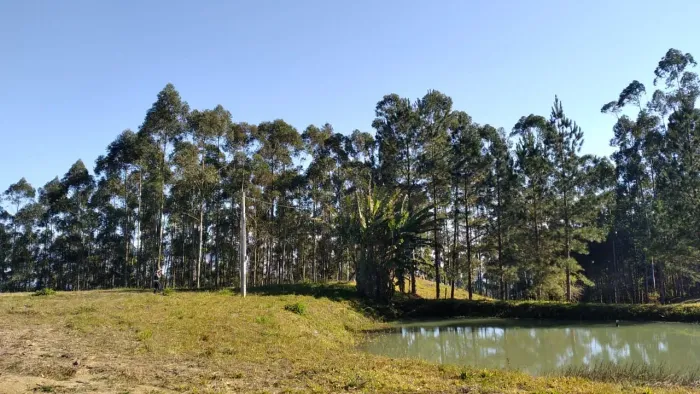 Área Rural de 22,07 ha à Venda Vidal Ramos/SC
