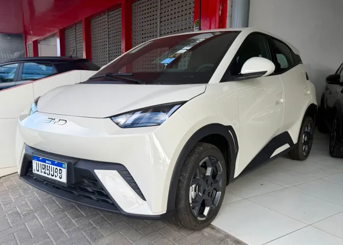 BYD Dolphin Mini GL 2027