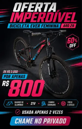 Bicicleta Ever aro 29