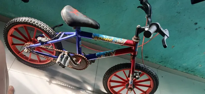 Bicicleta