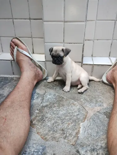 O presente que seu Filho merece 