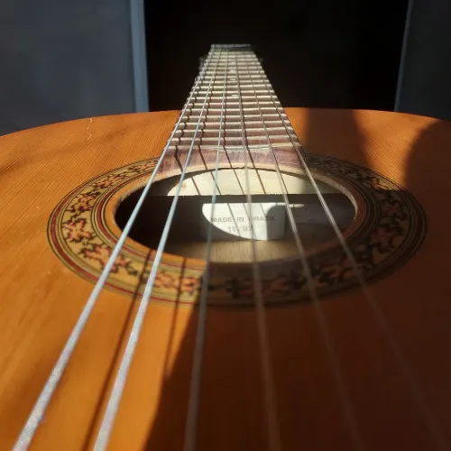Violão Giannini 1987 Clássico GNWE22 Estudo Made in Brasil Madeira de Lei Perfeito Estado