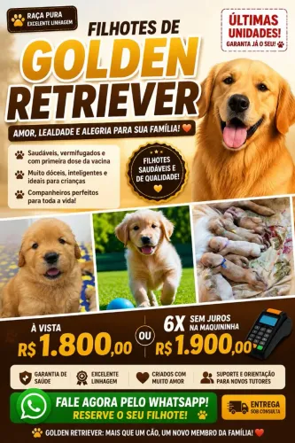 ? REALIZE O SONHO DE TER UM GOLDEN RETRIEVER! ?