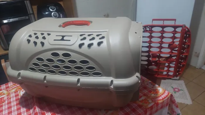 Transporte de cães e gatos
