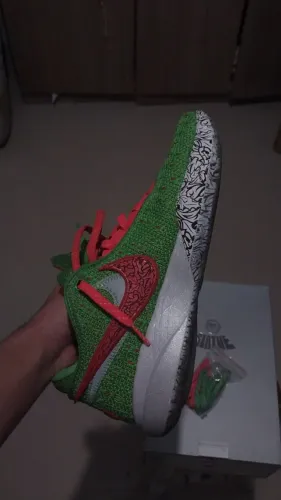 LeBron XX - Grinch