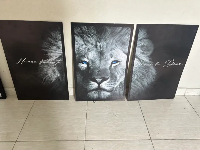 Vendo quadros