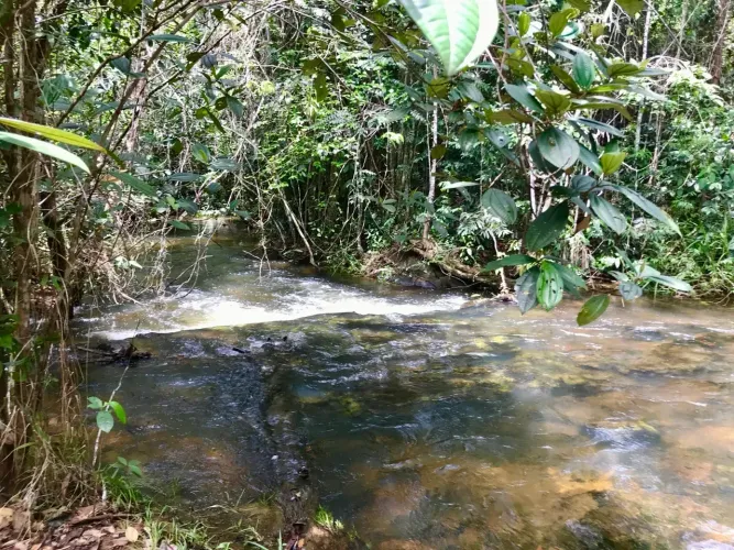 Terreno à venda em Itacaré Bahia  natureza, energia e ótimo preço