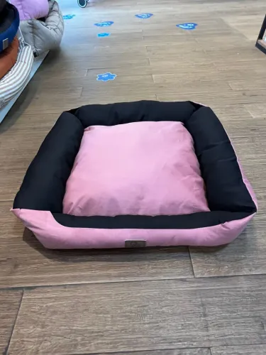 Cama pet femea (pequeno porte