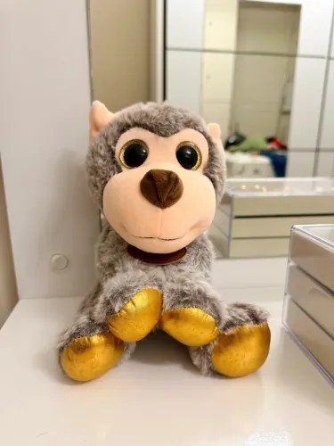 Ursinho de pelúcia