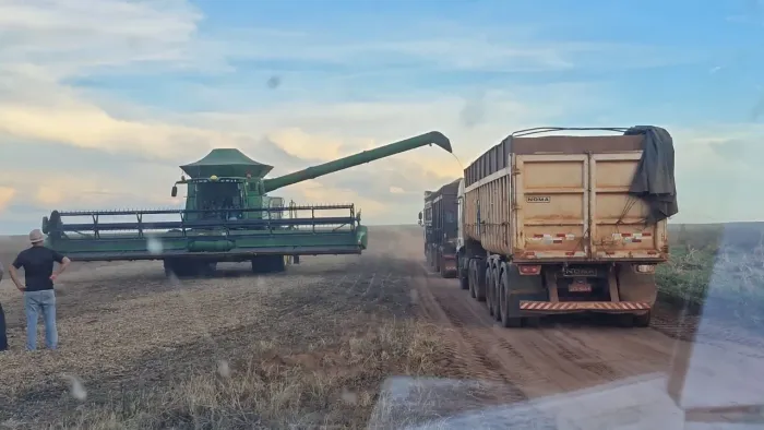 Arrendamento fazenda soja milho algodão 