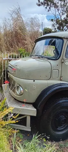 Caminhão Mercedes Benz 1113
