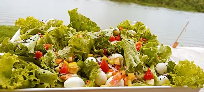 Cozinheiro disponivel