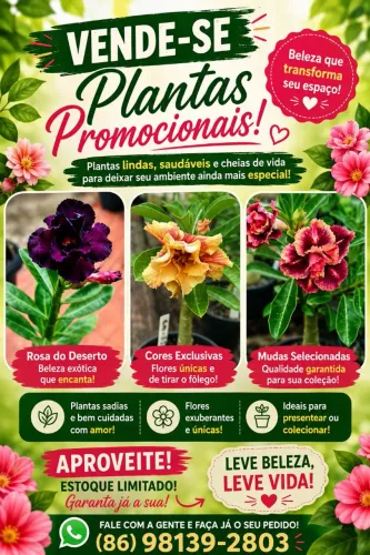 Rosa do deserto