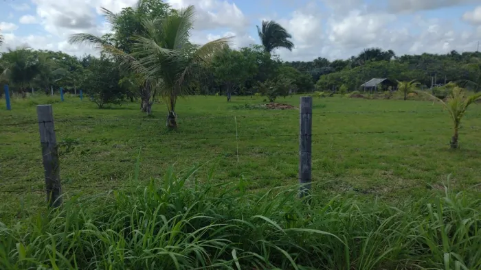 Terras  Pará - Brasil