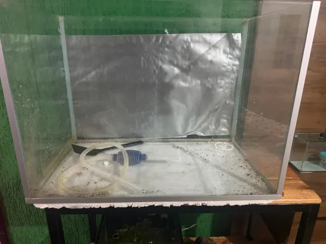 Desapego Aquário