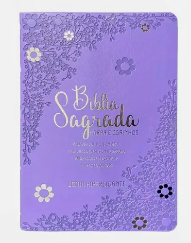 Bíblia letra Hipergigante luxo ( Nova E Lacrada)