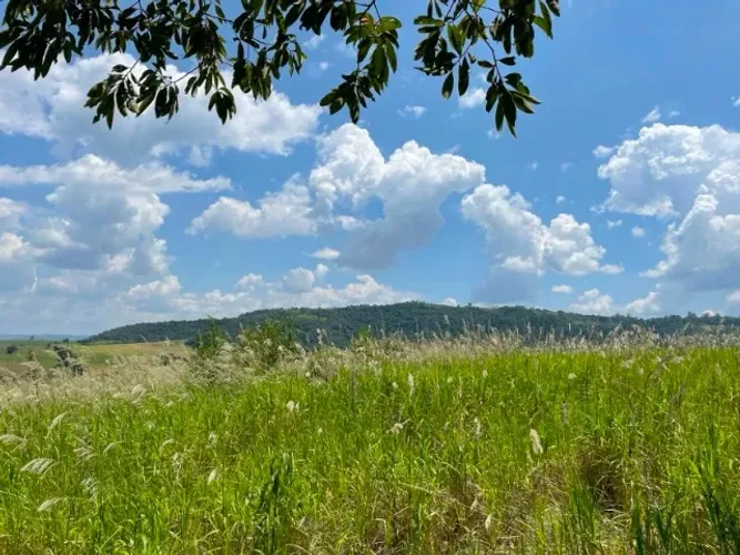 Terreno 22.800 m2 em Pardinho