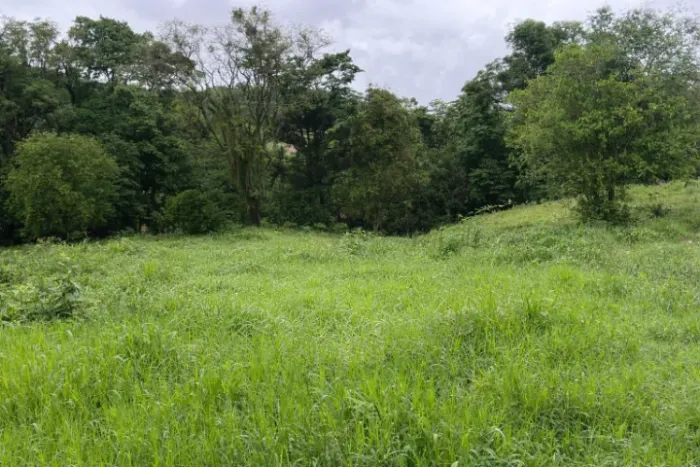 Vende-se um lindo e produtivo sítio, pronto para sua criação de gado, ovinos-caprinos