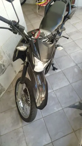 Nxr bros esdd 2023