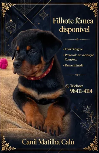 Disponível