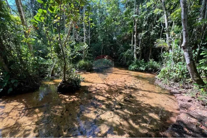 Fazenda à Venda em Araguaína - TO.
