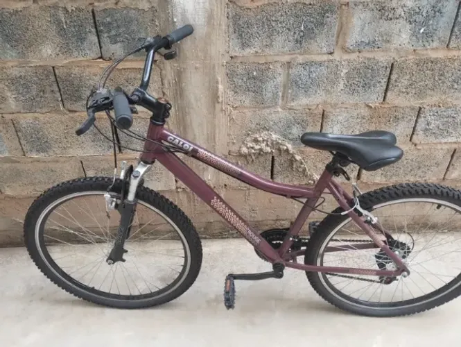 Bicicleta